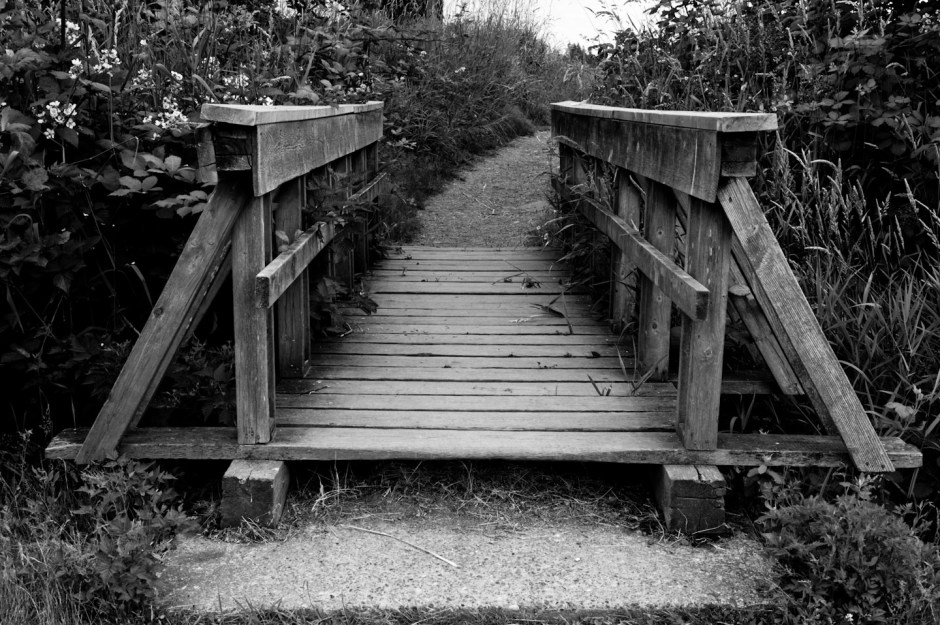 Bridge in Serpentin Fen