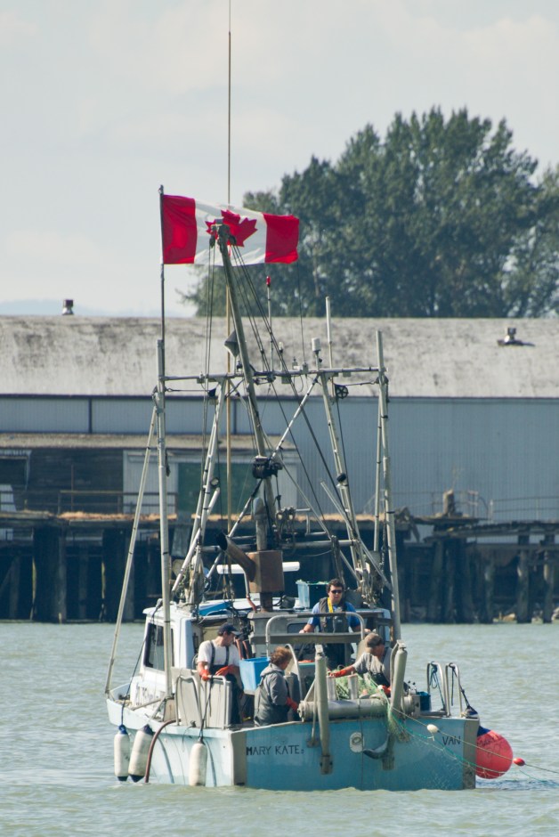 Fraser River fishers