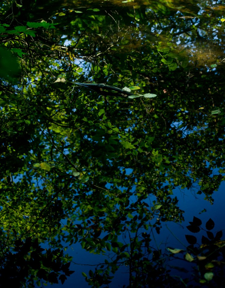 Slow stream reflection