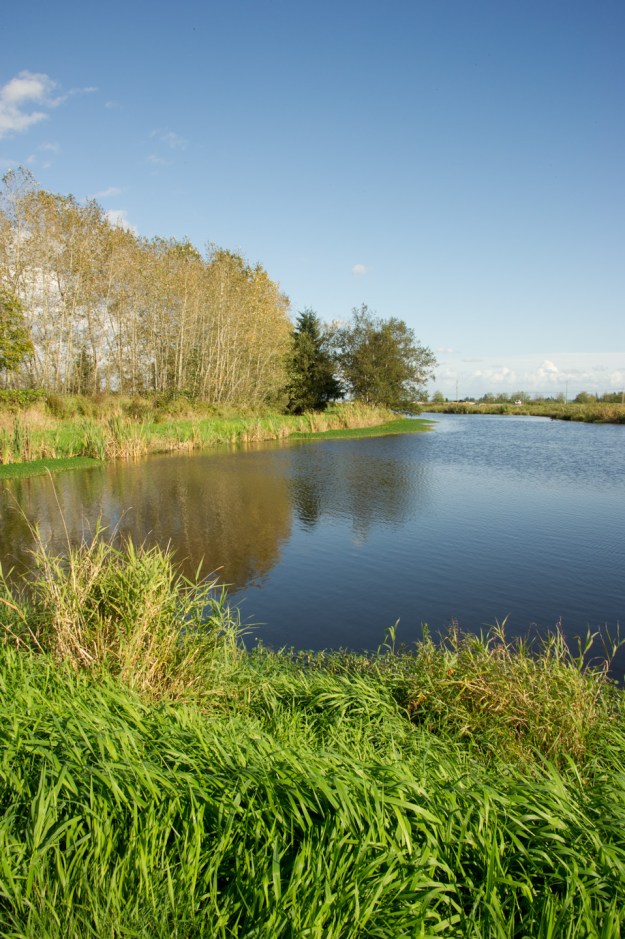 Serpentine Fen
