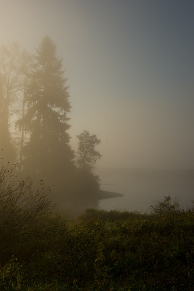 Silhouette in the fog