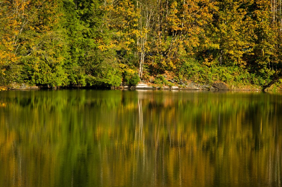 Fall reflection