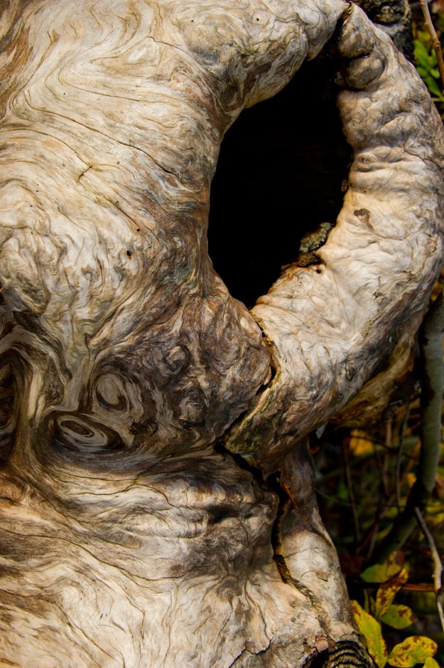 Door to another world