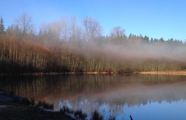 Mist lifting off of Green Timbers Lake