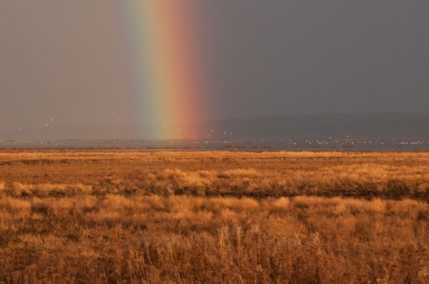 Rainbow on Boundary Bay