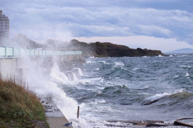 Waves captured just east of the Ogden Pt breakwater.